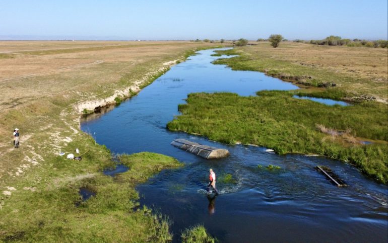 Field crews check a fyke trap in the Eastside Bypass.