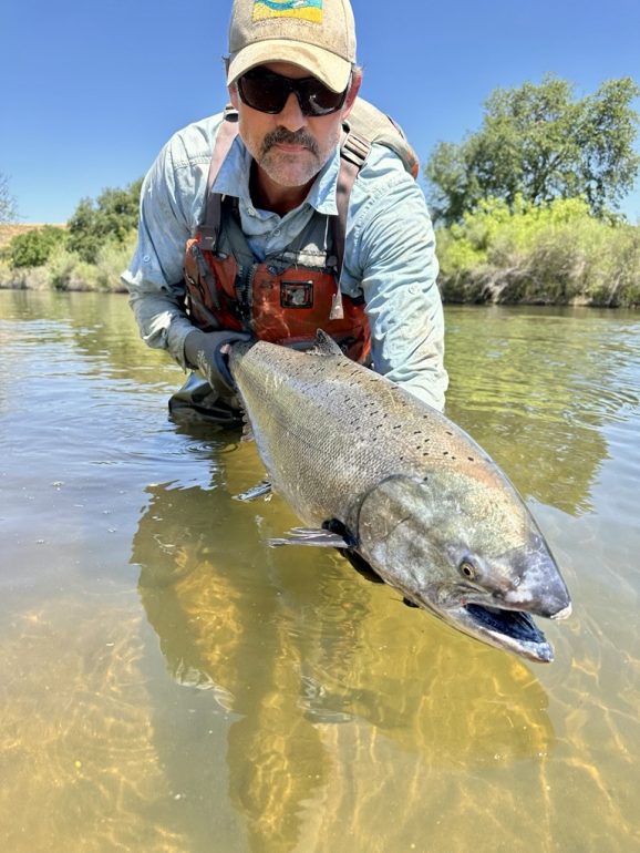 Zak Sutphin, lead field biologist for the program, holds a 2025 returned spring-run Chinook salmon prior to release to the river.