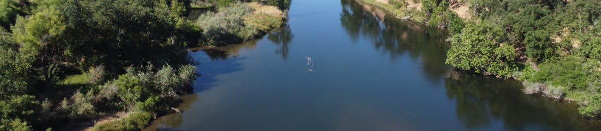 aerial view of river with green border of trees
